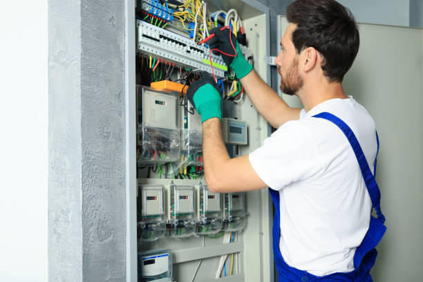 Best Electric Panel Repair  in Tusculum, TN